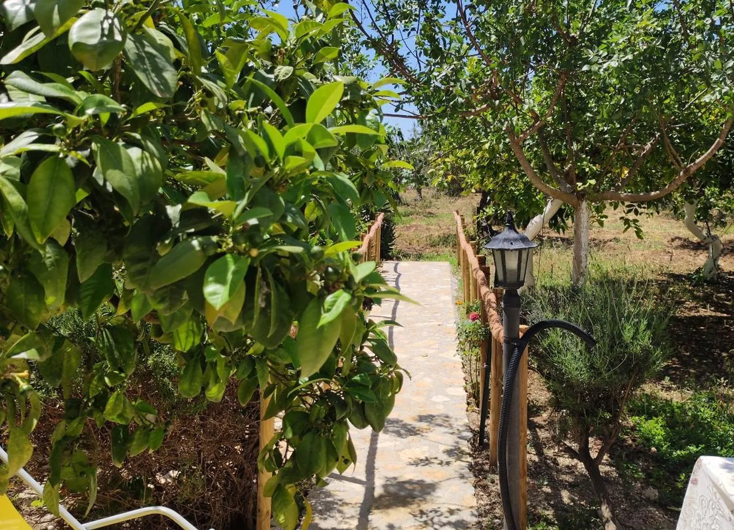 فندق مبيت وإفطار باشيكو B&B Le Macine 1868