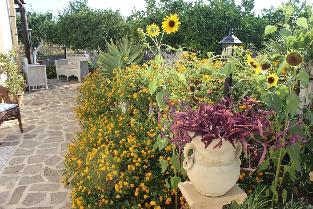 باشيكو B&B Le Macine 1868